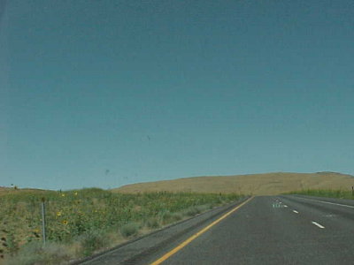 More Damn Traffic