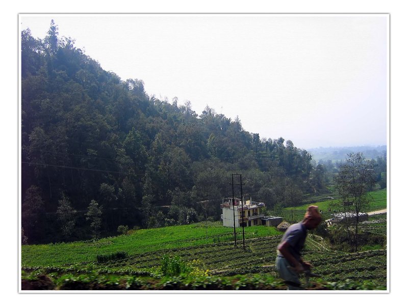 The Valley n the Worker