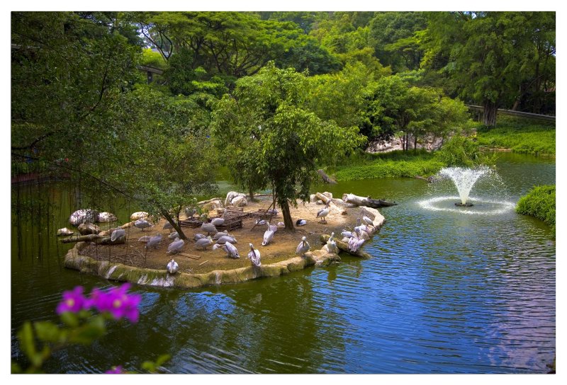 Duck Island