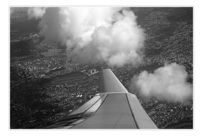 wing_view