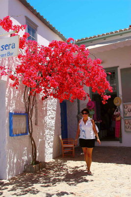 Hydra Island