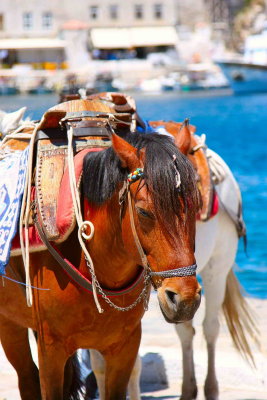 Hydra Island