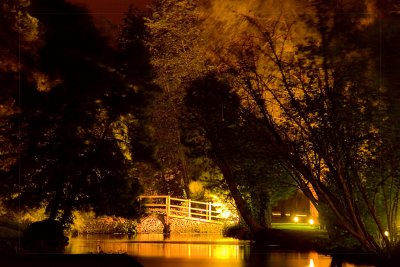 A Bridge Alone