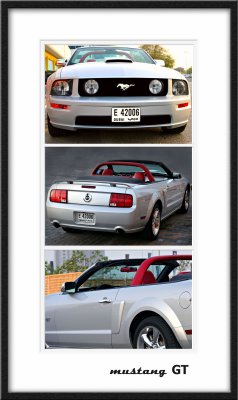 Mustang Triple the Fun