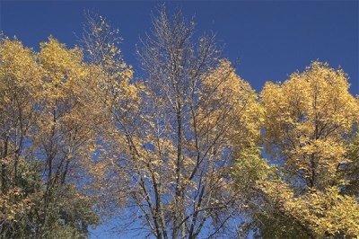 DSC_5659.jpg