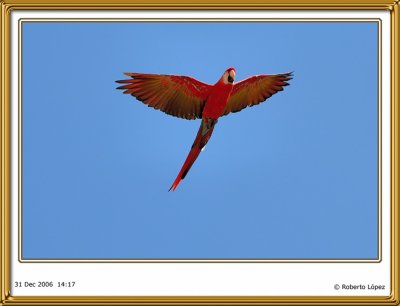 D2Y_4335.jpg