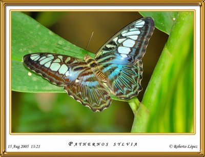 DSC_3699_mariposario1.jpg