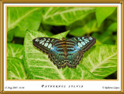 DSC_3901_mariposario1.jpg