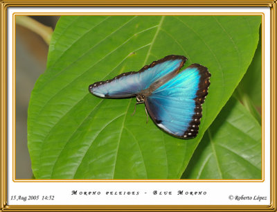 DSC_3916_mariposario1.jpg