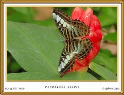 DSC_3978_mariposario1.jpg