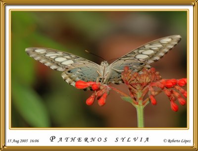 DSC_4067_mariposario1.jpg