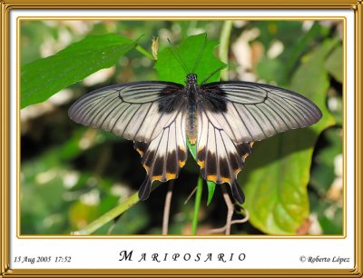 DSC_4268_mariposario1.jpg