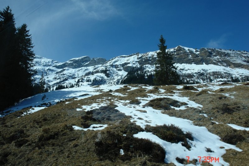 DSC01498.JPG