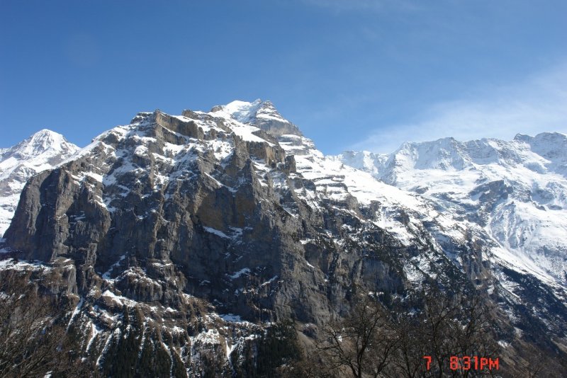 DSC01529.JPG