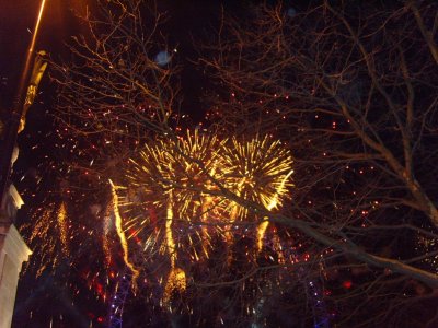 Fireworks_thru_branches.JPG