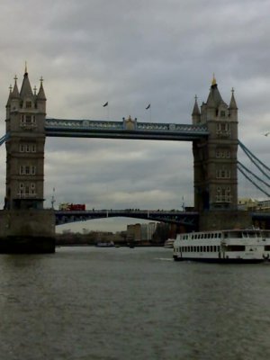 28-01-07_1459.jpg