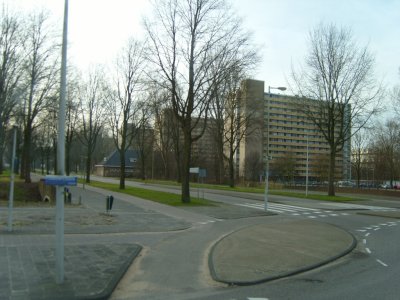 S1030713.JPG