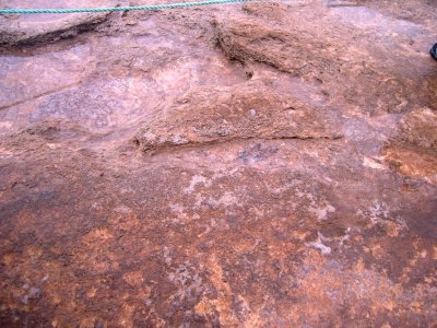 S1031183.JPG