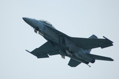 F/A-18F Super Hornet