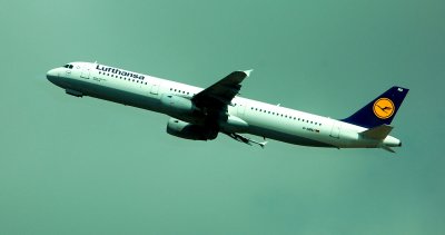 DSC_0693.JPG