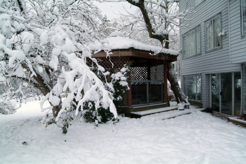 Winter 2 2006.jpg