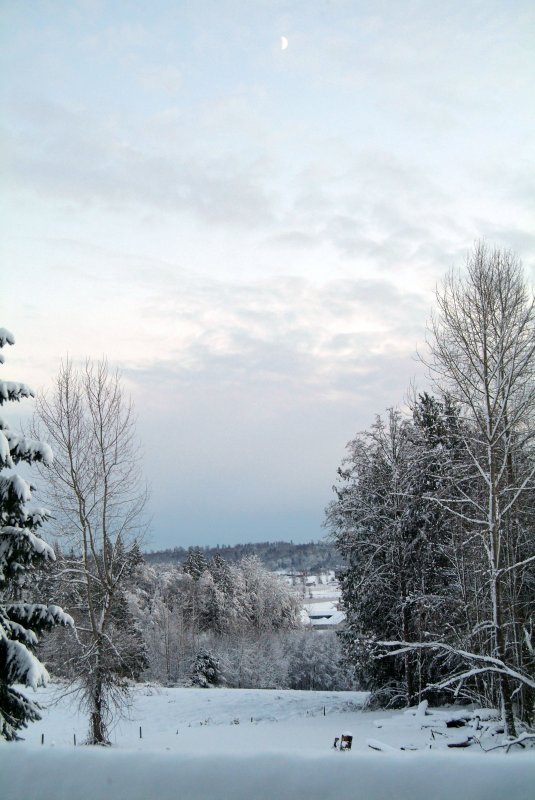 Winter1 2006.jpg