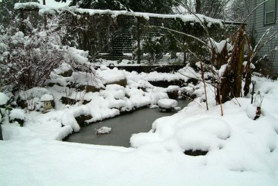 snow sm pond.jpg