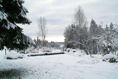 Winter 3 2006.jpg