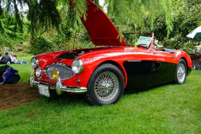 1962 Austin Healey .jpg