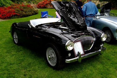 1953 Austin Healy 100.jpg