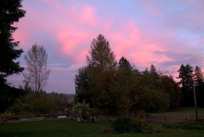Sunset over pond.jpg