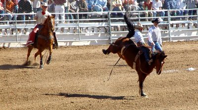 Tucson Rodeo (2)