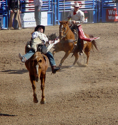 Tucson Rodeo (3)