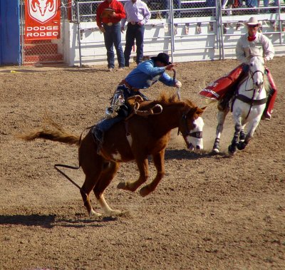 Tucson Rodeo (7)