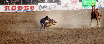 Tucson Rodeo (8)