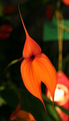 Img_6617a.jpg
