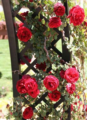 g6/72/758672/3/77755580.th1apdJ4.jpg