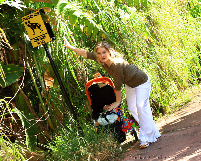 Perth Zoo Shoot