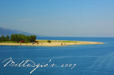 Colors-of-Summer.jpg