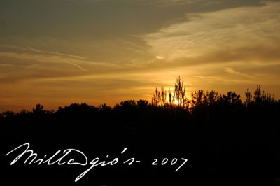 Sunset.jpg