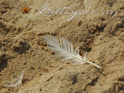 Feathering.jpg
