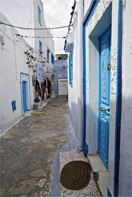 IMG_6590-2-web.jpg