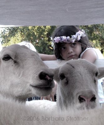 Irish Fair: Girl with Goats