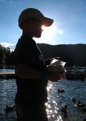 Feeding Ducks