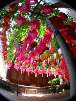 Seoul Temple Grounds.JPG