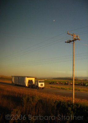 california truckin.JPG