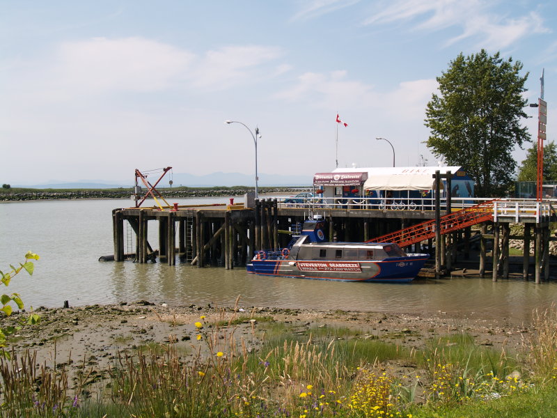 Whale watching boat