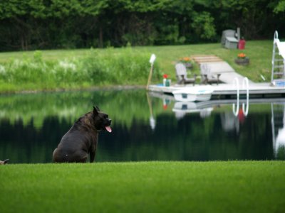 Bonnie takes a break