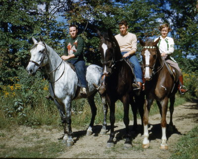 Horse group.jpg