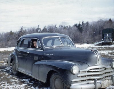 Vera in car.jpg
